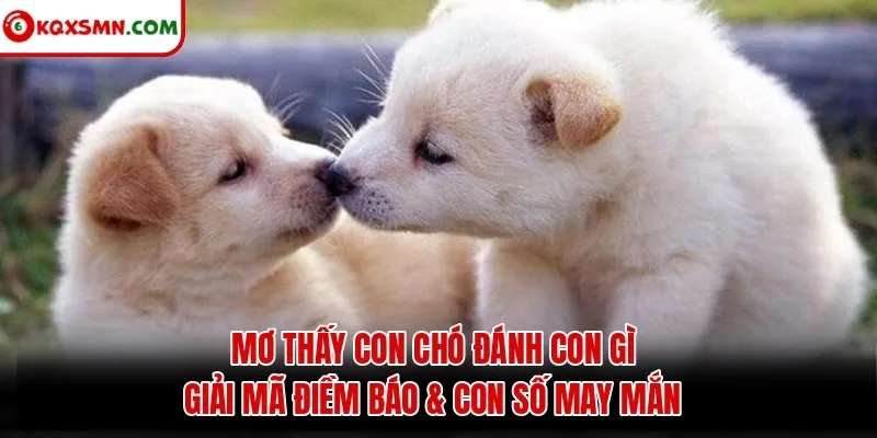Mơ thấy Con chó đánh con gì? Giải mã điềm báo & con số may mắn