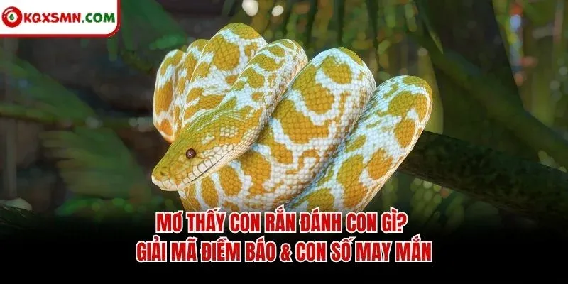 Mơ thấy Con rắn đánh con gì? Giải mã điềm báo & con số may mắn