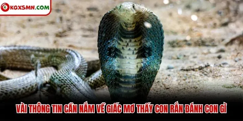 Vài thông tin cần nắm về giấc mơ thấy con rắn đánh con gì