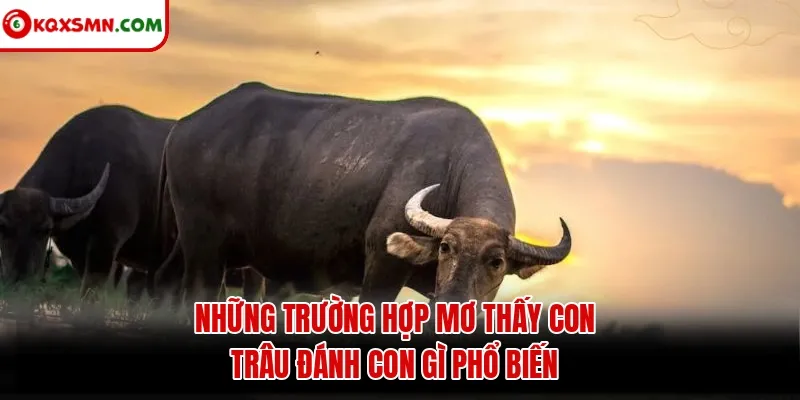 Những trường hợp mơ thấy con trâu đánh con gì phổ biến