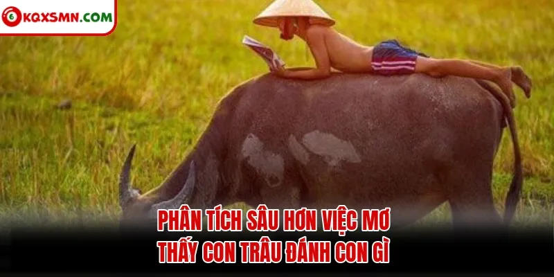 Phân tích sâu hơn việc mơ thấy con trâu đánh con gì