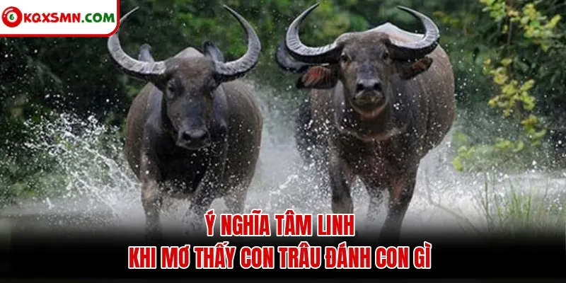 Ý nghĩa tâm linh khi mơ thấy con trâu đánh con gì