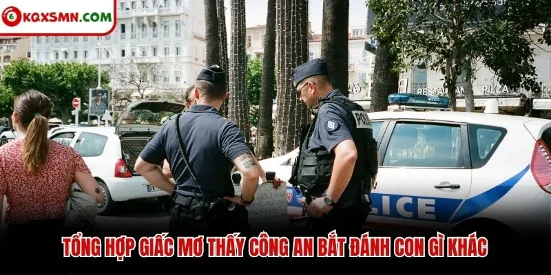 Tổng hợp giấc mơ thấy công an bắt đánh con gì khác