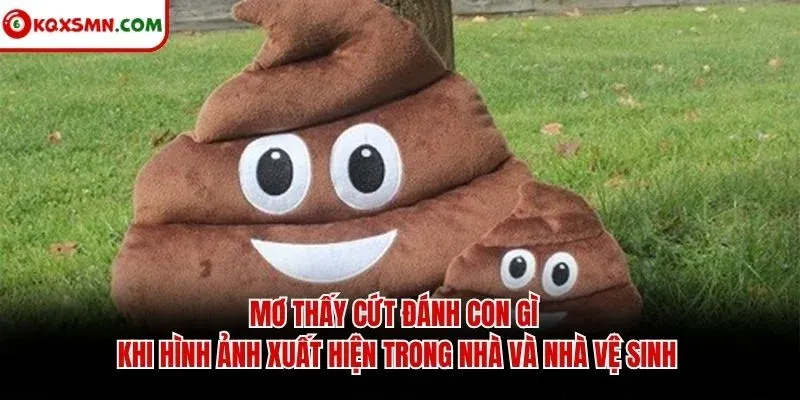Mơ thấy cứt đánh con gì khi hình ảnh xuất hiện trong nhà và nhà vệ sinh