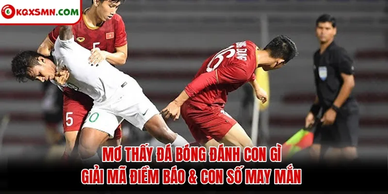 Mơ thấy Đá bóng đánh con gì? Giải mã điềm báo & con số may mắn
