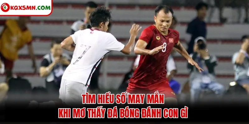 Tìm hiểu số may mắn khi mơ thấy đá bóng đánh con gì