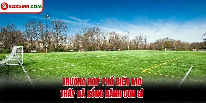 Trường hợp phổ biến mơ thấy đá bóng đánh con gì