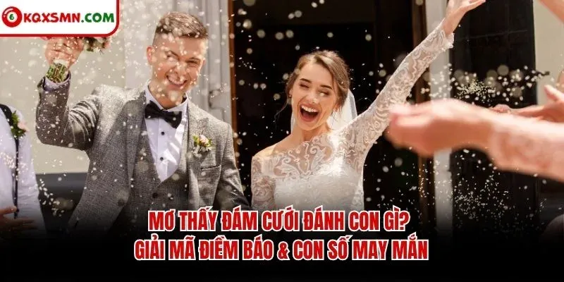 Mơ thấy Đám cưới đánh con gì? Giải mã điềm báo & con số may mắn