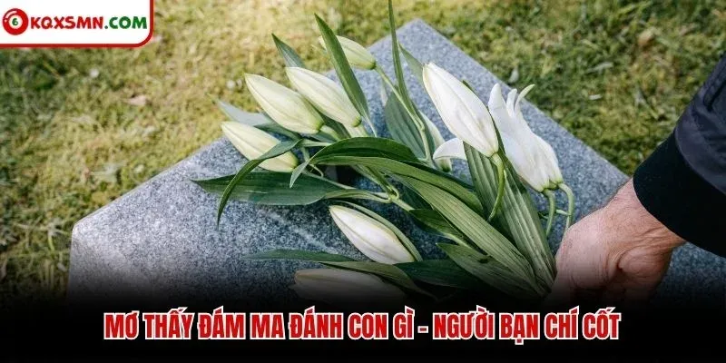 Mơ thấy đám ma đánh con gì - người bạn chí cốt
