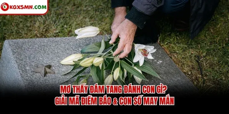 Mơ thấy Đám tang đánh con gì? Giải mã điềm báo & con số may mắn