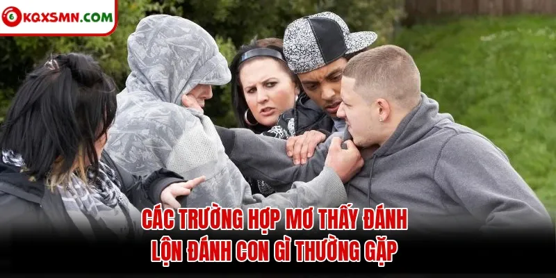 Các trường hợp mơ thấy đánh lộn đánh con gì thường gặp