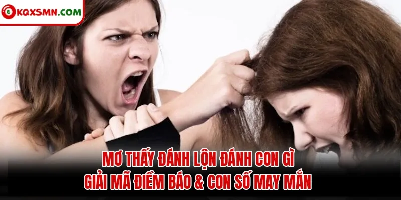 Mơ thấy Đánh lộn đánh con gì? Giải mã điềm báo & con số may mắn