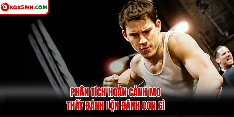 Phân tích hoàn cảnh mơ thấy đánh lộn đánh con gì