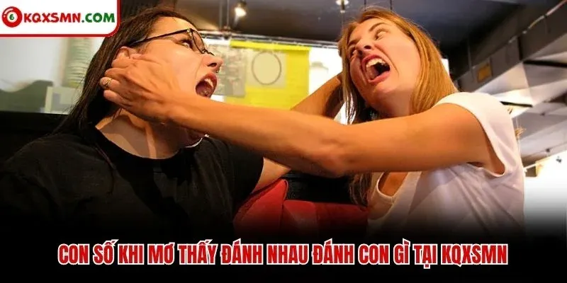 Con số khi mơ thấy đánh nhau đánh con gì tại KQXSMN