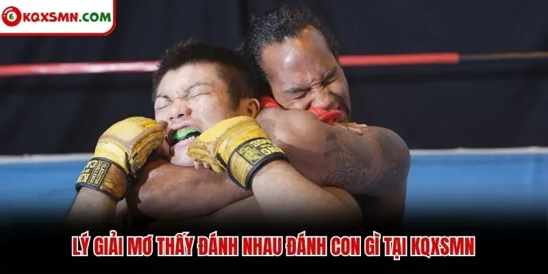 Lý giải mơ thấy đánh nhau đánh con gì tại KQXSMN