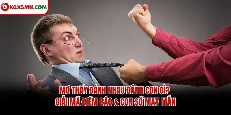 Mơ Thấy Đánh Nhau Đánh Con Gì? Giải Mã Điềm Báo & Con Số May Mắn