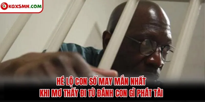 Hé lộ con số may mắn nhất khi mơ thấy đi tù đánh con gì phát tài