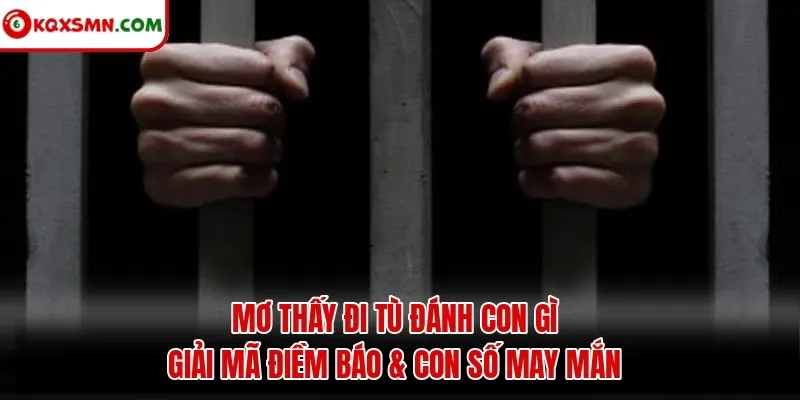 Mơ Thấy Đi Tù Đánh Con Gì - Giải Mã Điềm Báo & Con Số May Mắn