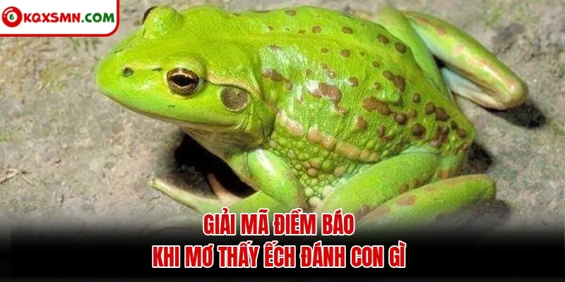 Giải mã điềm báo khi mơ thấy ếch đánh con gì