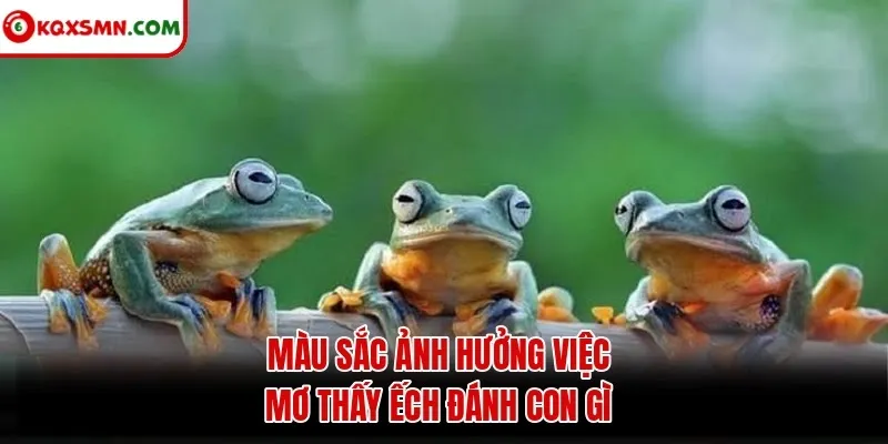 Màu sắc ảnh hưởng việc mơ thấy ếch đánh con gì
