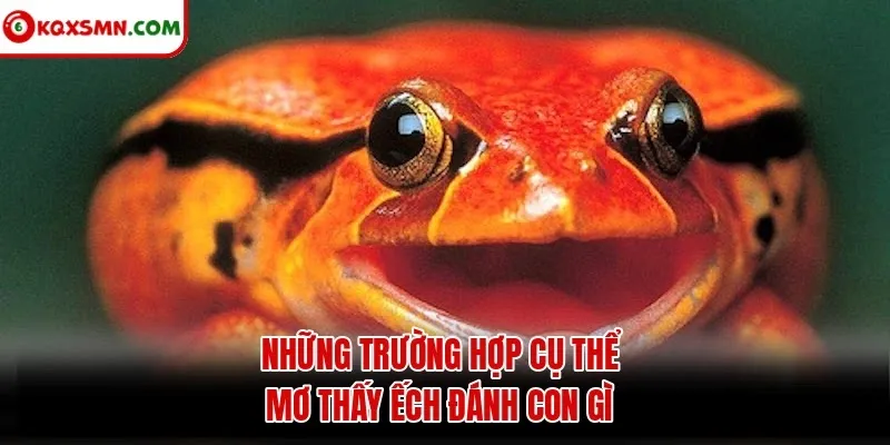 Những trường hợp cụ thể mơ thấy ếch đánh con gì