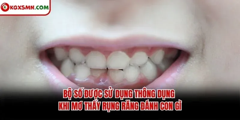 Bộ số được sử dụng thông dụng khi mơ thấy rụng răng đánh con gì