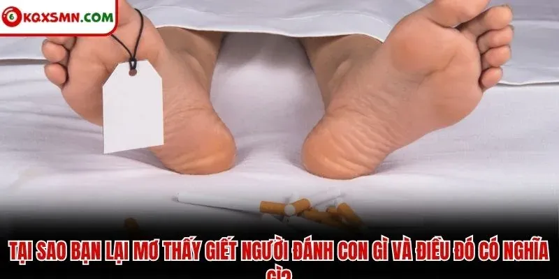 Tại sao bạn lại mơ thấy giết người đánh con gì và điều đó có nghĩa gì