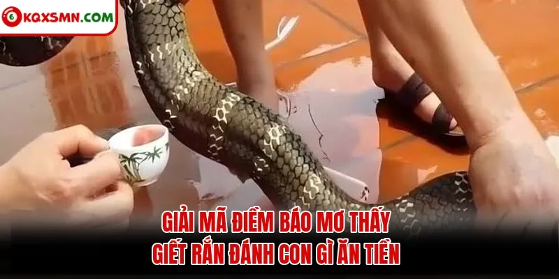 Giải mã điềm báo mơ thấy giết rắn đánh con gì ăn tiền
