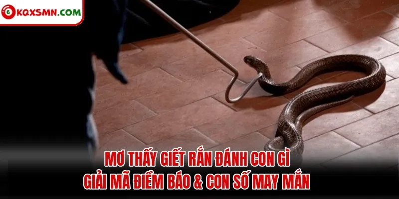 Mơ thấy Giết rắn đánh con gì? Giải mã điềm báo & con số may mắn