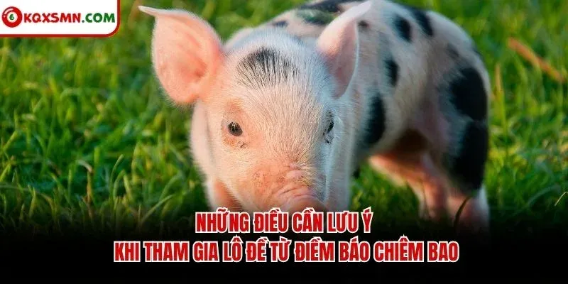Những điều cần lưu ý khi tham gia lô đề từ điềm báo chiêm bao