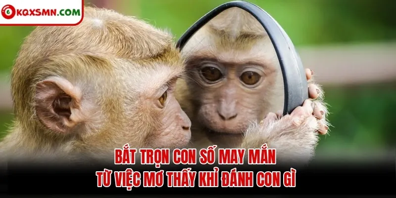 Bắt trọn con số may mắn từ việc mơ thấy khỉ đánh con gì