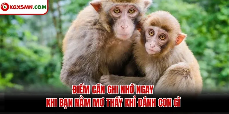 Điểm cần ghi nhớ ngay khi bạn nằm mơ thấy khỉ đánh con gì