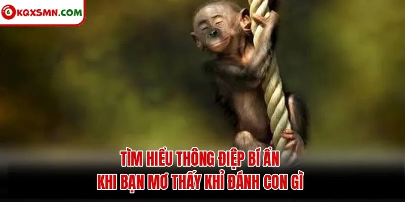 Tìm hiểu thông điệp bí ẩn khi bạn mơ thấy khỉ đánh con gì