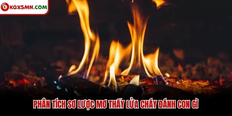 Phân tích sơ lược mơ thấy lửa cháy đánh con gì