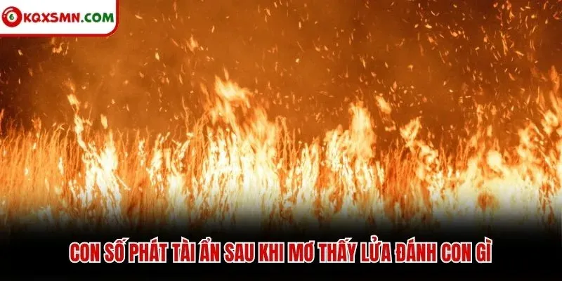 Con số phát tài ẩn sau khi mơ thấy lửa đánh con gì