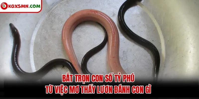 Bắt trọn con số tỷ phú từ việc mơ thấy lươn đánh con gì