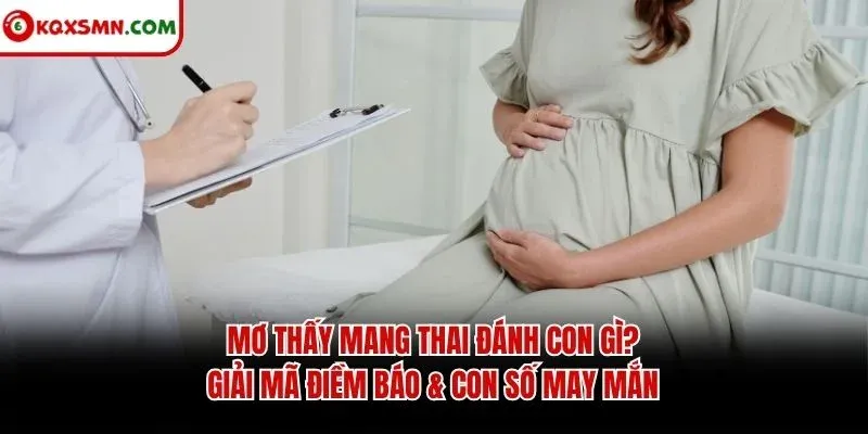 Mơ thấy Mang thai đánh con gì? Giải mã điềm báo & con số may mắn