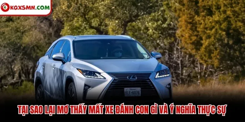 Tại sao lại mơ thấy mất xe đánh con gì và ý nghĩa thực sự