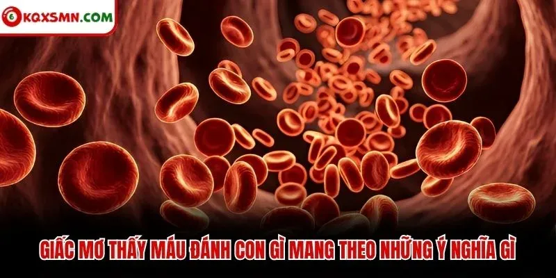 Giấc mơ thấy máu đánh con gì mang theo những ý nghĩa gì