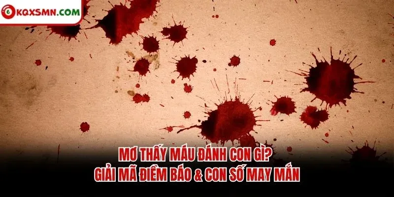 Mơ Thấy Máu Đánh Con Gì? Giải Mã Điềm Báo & Con Số May Mắn