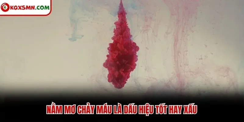 Nằm mơ chảy máu là dấu hiệu tốt hay xấu