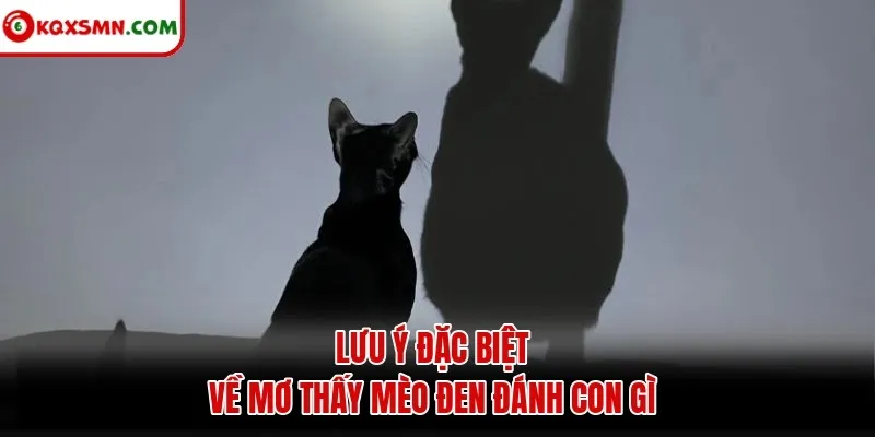 Lưu ý đặc biệt về mơ thấy mèo đen đánh con gì