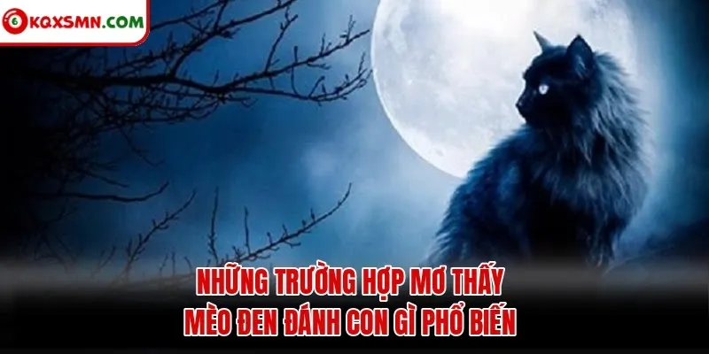 Những trường hợp mơ thấy mèo đen đánh con gì phổ biến