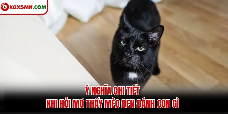 Ý nghĩa chi tiết khi hỏi mơ thấy mèo đen đánh con gì