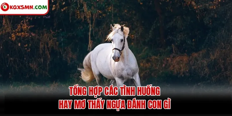 Tổng hợp các tình huống hay mơ thấy ngựa đánh con gì