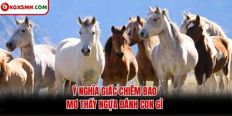 Ý nghĩa giấc chiêm bao mơ thấy ngựa đánh con gì