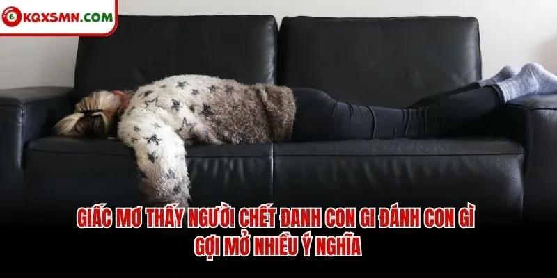 Giấc mơ thấy người chết đanh con gi đánh con gì gợi mở nhiều ý nghĩa