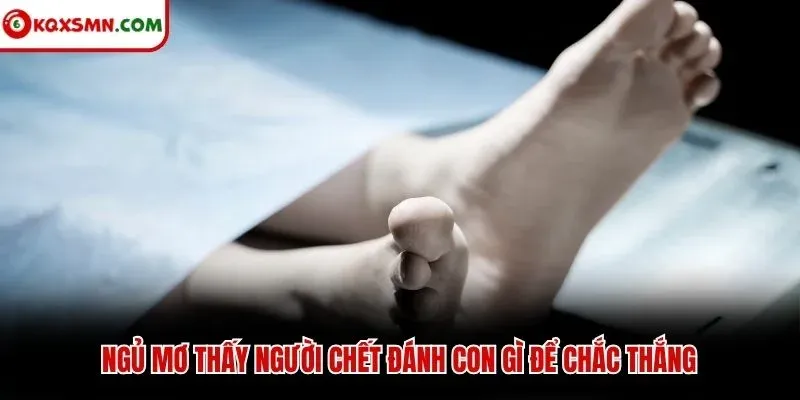 Ngủ mơ thấy người chết đánh con gì để chắc thắng
