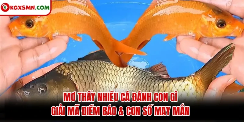 Mơ thấy Nhiều cá đánh con gì? Giải mã điềm báo & con số may mắn