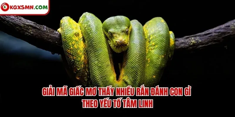 Giải mã giấc mơ thấy nhiều rắn đánh con gì theo yếu tố tâm linh